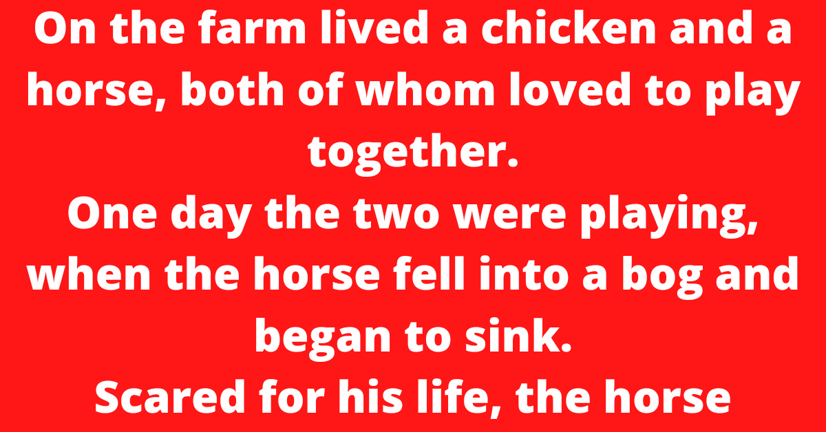 A Horse, A Chicken & A Harley
