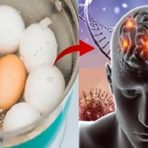 Ja sa vezë duhet që të hani per 1 dite në mënyrë që mos të “Plakeni” dhe te Forconi trurin..!?