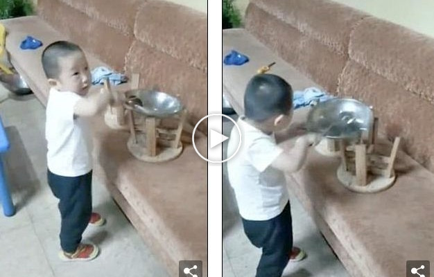 3 vjeçari një ‘kuzhinier i përpiktë’, bëhet i famshëm në rrjetet sociale…(VIDEO)