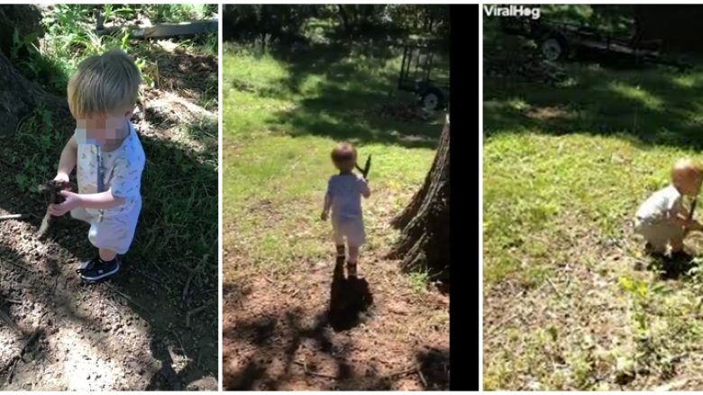 Momenti kur vogëlushi duke luajtur kap gjarprin në vend të shkopit…(VIDEO)