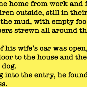 Home Humor – A man comes home from work and finds the place a wreck