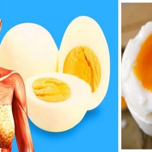 Kujdes..!? Ja çfarë ndodh në trupin tuaj nëse hani 3 vezë në ditë për 1 javë..!?