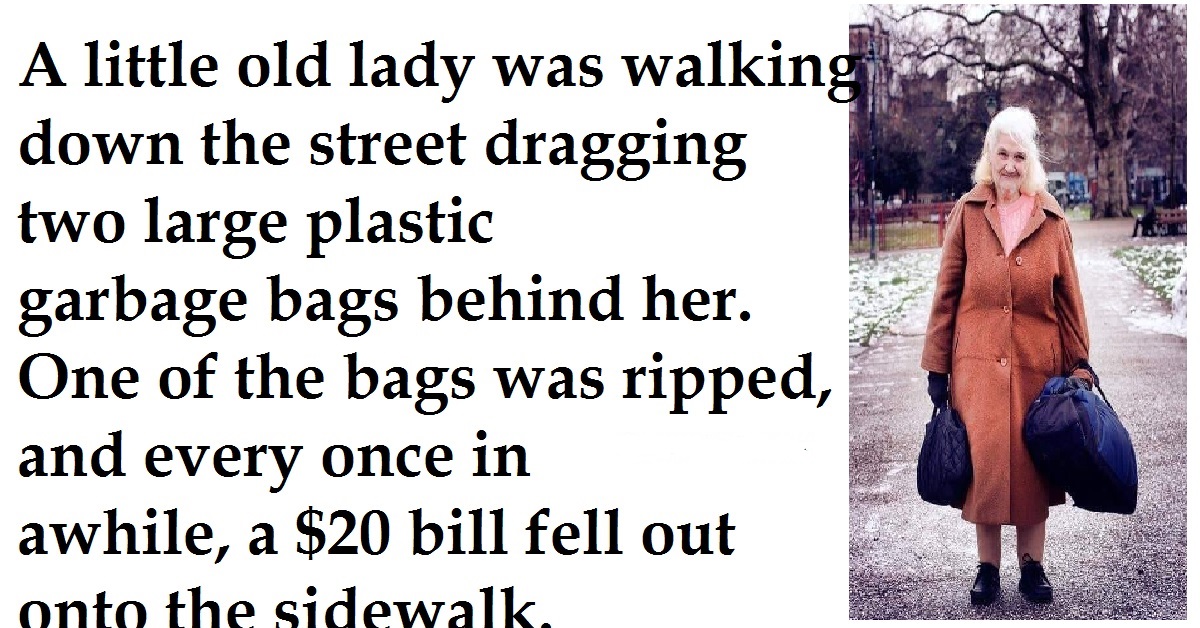 A little old lady was walking down the street dragging two large plastic