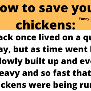 How to save your chickens.