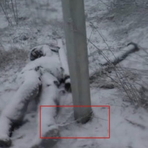 Pamje të rënda/ Ushtarët ukrainas të zënë rob vdesin në të ftohtë të lidhur me zinxhirë për shtylle