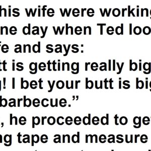 Ted And His Wife – Joke