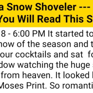 Diary of a Snow Shoveler --- Funniest Thing You Will Read This Season