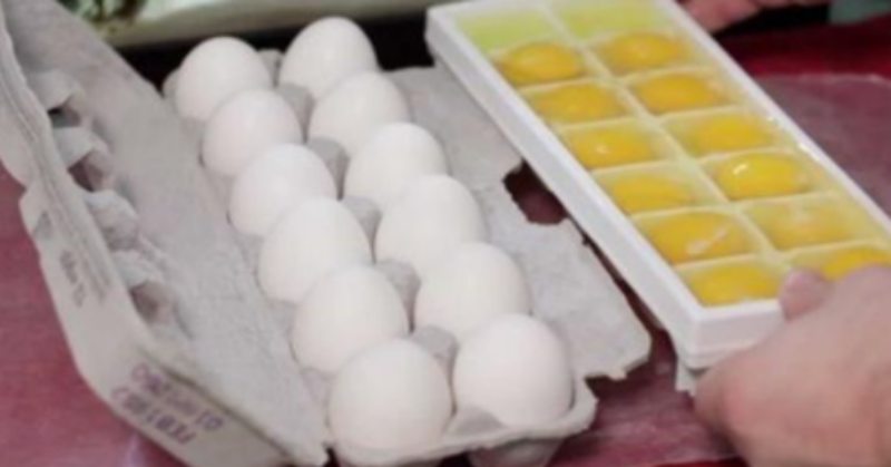She put 14 eggs in ice cube tray before leaving it in the freezer for 2 hours. What happened next, making her decide to do the same thing every day