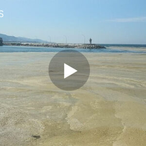 Ekspertet: Pështyma e detit mund të jet shkak që plazhet këte verë mos të jenë në funksion pasi që. (VIDEO)
