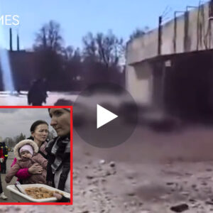 Putin po ngjason me Hitlerin,vret 10 persona që prisnin në radhë për bukë në qytetin Chernihiv, Ukrainë.VIDEO