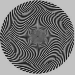 Iluzioni optik që nxiti reagime në internet, cilin numër po e shihni?