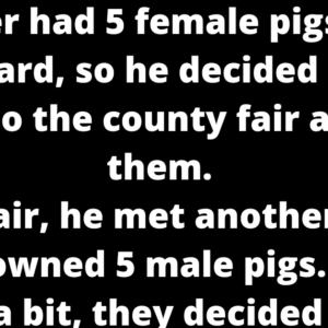 Smart Pigs, Dumb Farmer