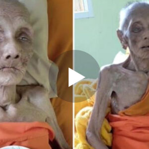 Plaka me jetgjatsi pas Nuhi a.s/mosh e saj është 399 vjecare, shiko se si duket gjendja e saj..VIDEO