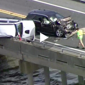 Burri hidhet nga një urë 12 metra për ta shpetuar vajzën e vogël (VIDEO)