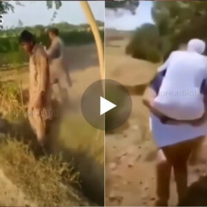 Video e rëndë: I riu që trajton babanë si kafshë duke e rrahur në mes të rrugës…