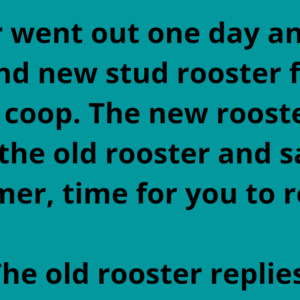 Jokes of the day:THE ROOSTER