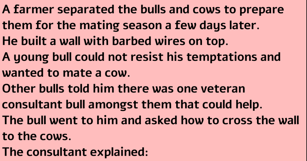 A Farmer Separated The Bulls.