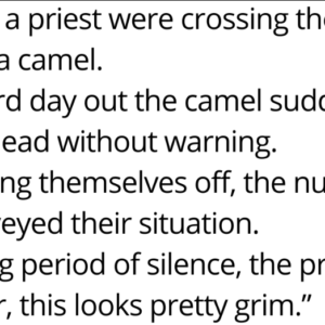 A Nun And A Priest Were Crossing The Desert