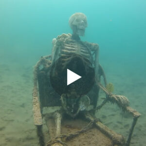 Gjërat më misterioze nën uje që janë gjetun ndonjëher, shkenctaret nuk u besojne syve (VIDEO)