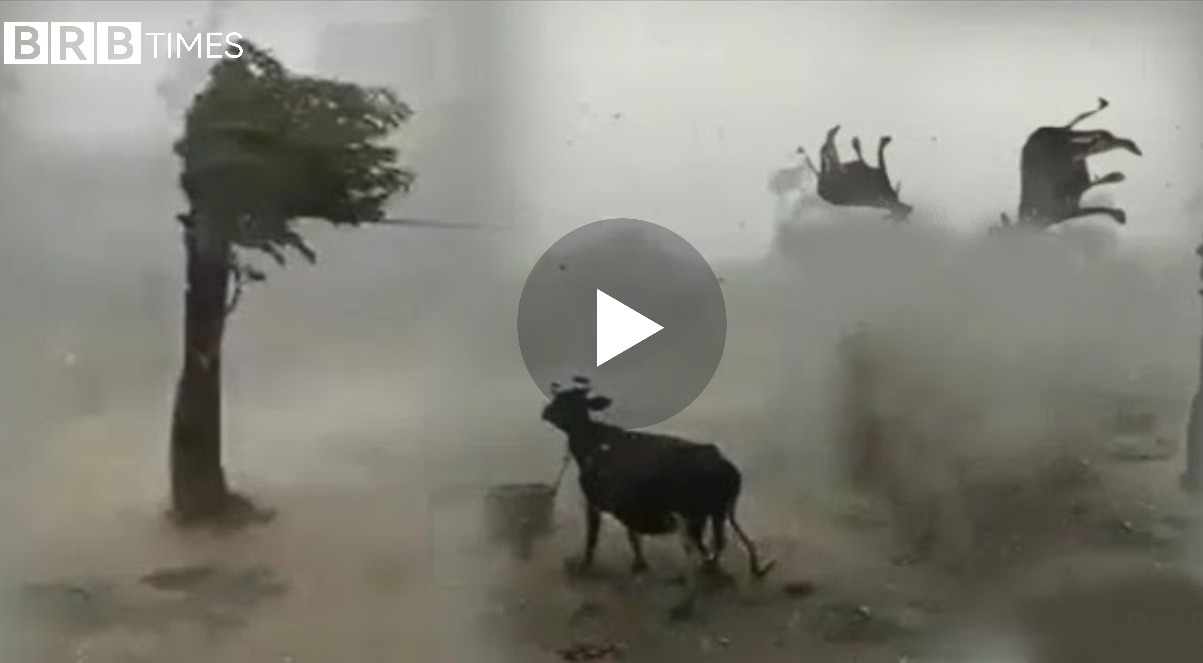 Video e trishtueshme/Një stuhi e tmershme shkatroi këtë fshat, ku dhe kafshët..VIDEO