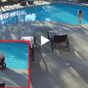 Kujdes Fëmijet janë Amanet i ZOTIT, 12-vjeçari ishte dëshmitar për komshiun 4 vjecar që u fut në pishin (VIDEO)