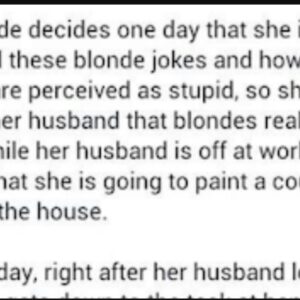 A Blonde Is Sick Of All The Blonde Jokes…