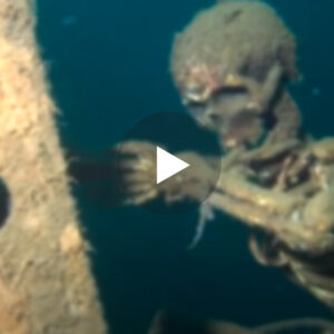 Krijesa misterioze nën det të zbuluara nga disa shkenctar, ata nuk mund tju besojn syve (VIDEO)