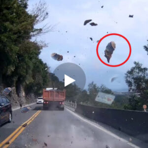 Momenti tronditës, Gjat një termetit shembet kodra dhe bien gur gjigant…(VIDEO)