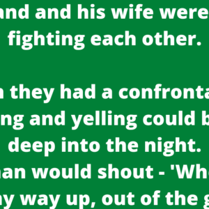 A husband and his wife were always fighting each other.