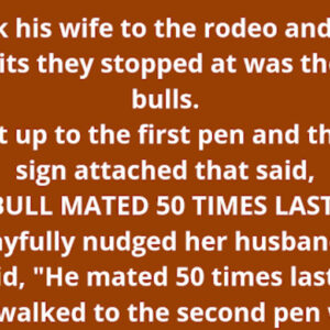 Home Joke of the day: Bull Story