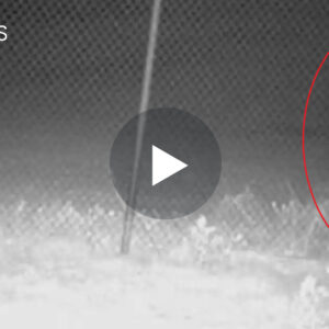Mediat Amerikane kan shpërndar një video të frikshme e një Krijesa misterioze që është kapur nga kamerat (VIDEO)