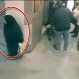 Ndodh edhe kjo/ Shiko se cfar bëri kjo grua e moshuar në ashensorin e një spitalit (VIDEO)