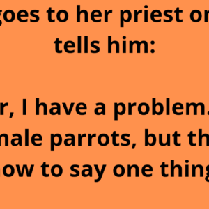 A lady visit her priest.
