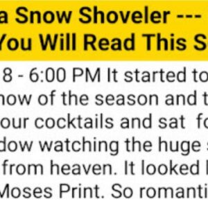 Diary of a Snow Shoveler --- Funniest Thing You Will Read This Season