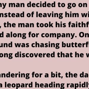 How the Dog fooled a Leopard
