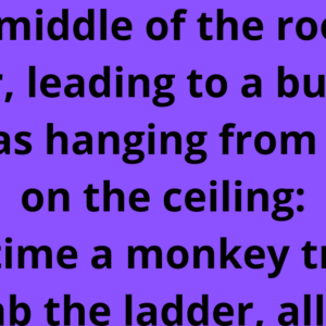 Eight monkeys in a room.