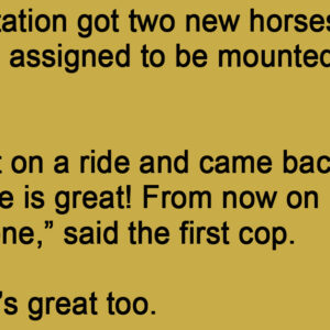 A Police Station Got Two New Horses.