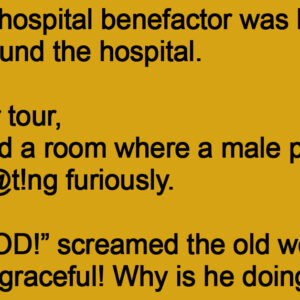 A Wealthy Hospital Benefactor Was Being Shown Around The Hospital.
