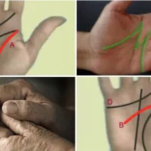 Your palm lines might reveal life secrets. Mine was spot on!
