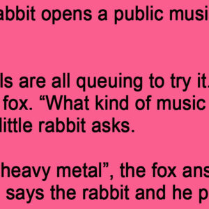 Lifestyle Rabbit Opens A Public Musical Toilet In The Forest.