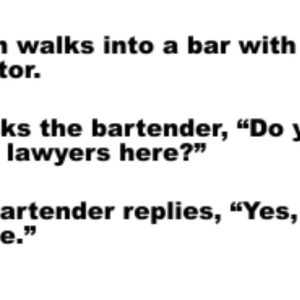A man walks into a bar with an alligator.