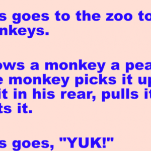 Thomas goes to the zoo to feed the monkeys.