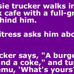 An Aussie trucker walks into an outback cafe