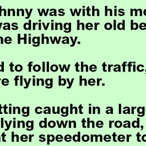 L.Johnny’s mom driving her car on the highway
