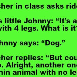 The Teacher In Class Asks Riddles.
