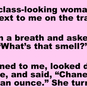 A high-class-looking woman sat down next to me on the train.
