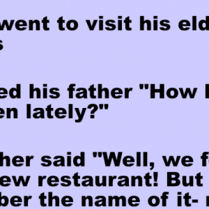 A man went to visit his elderly parents
