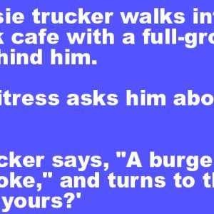 An Aussie trucker walks into an outback cafe
