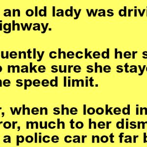 An Old Lady Was Driving On The Highway.