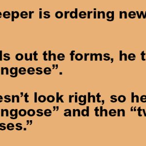 A Zoo Keeper Is Ordering New Animals.